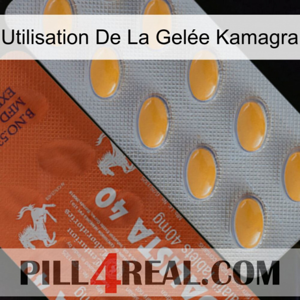 Utilisation De La Gelée Kamagra 43.jpg